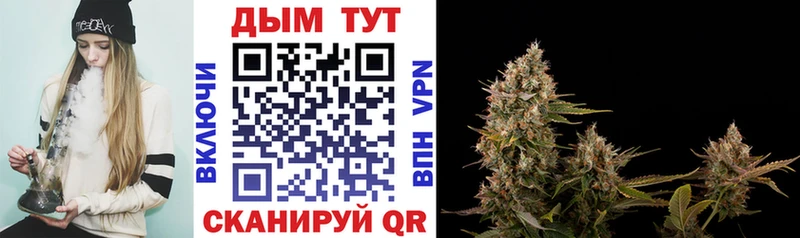 Продажа наркотиков Жирновск COCAIN  Меф мяу мяу  Гашиш  Каннабис 