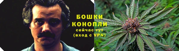 прущие крисы Магас