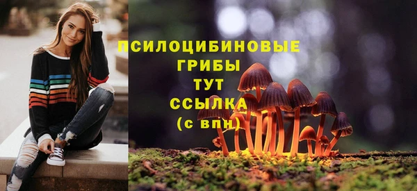 шишки Лихославль